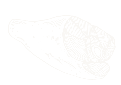 testimonial-shape-1-2